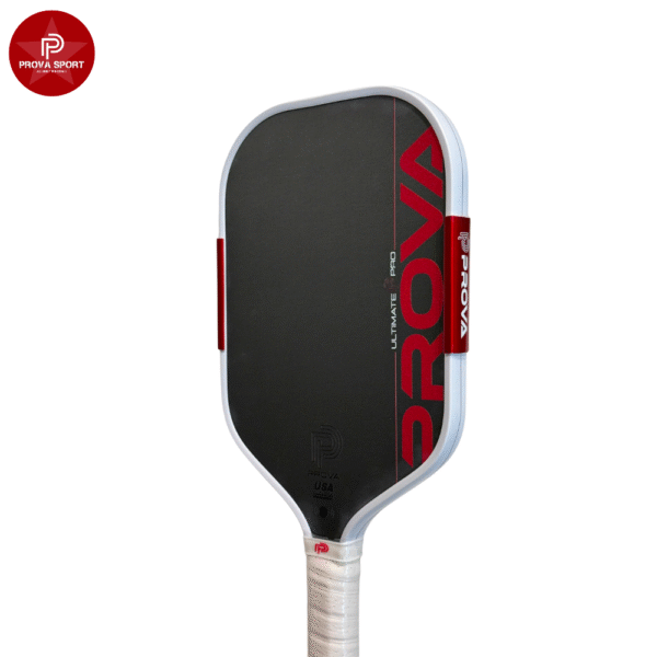  Break The Rules Tiger 