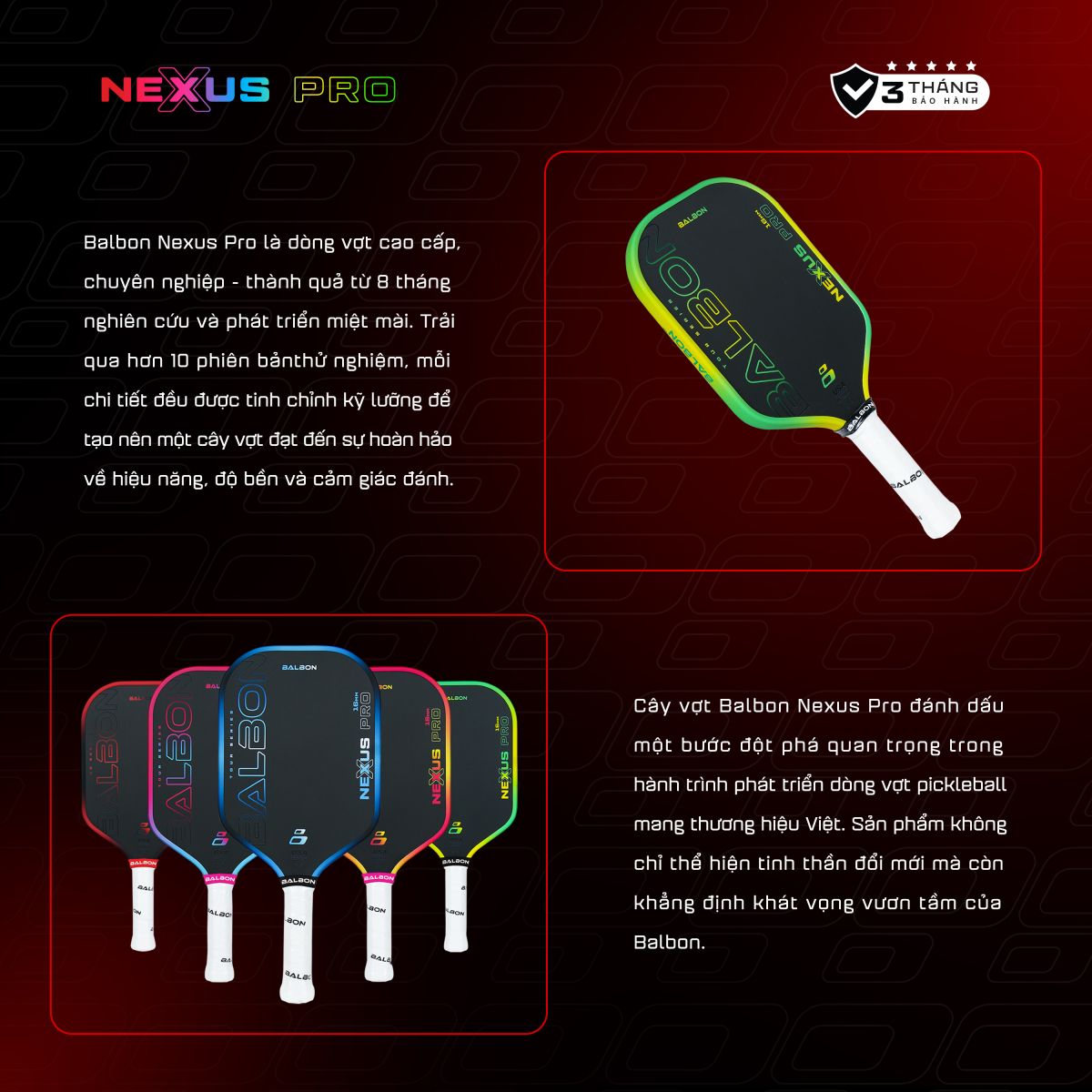  Break The Rules Tiger 