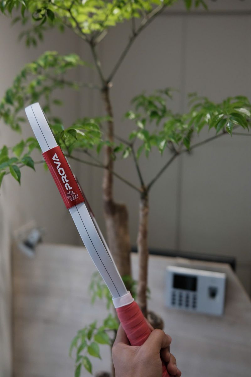  Break The Rules Tiger 