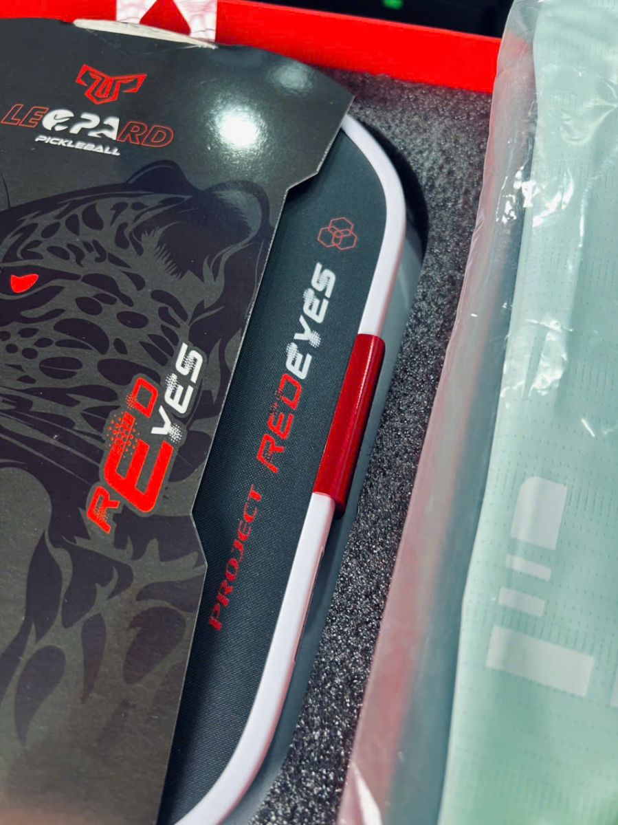  Break The Rules Tiger 